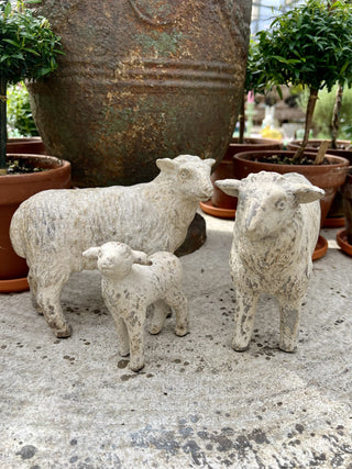 Three Sheep Flock