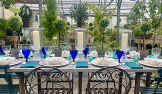 View of Greenhouse Interior 