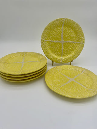 Set of 6 Cabbage Leaf Plates