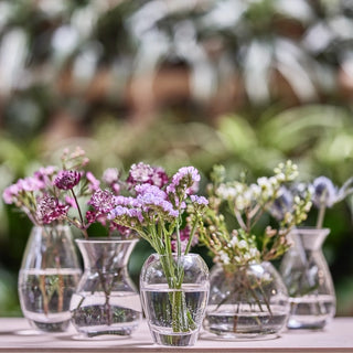 Clear Glass Bud Vase