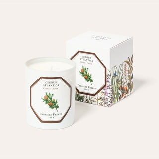 Carrière Frères Scented Candle