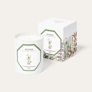 Carrière Frères Scented Candle